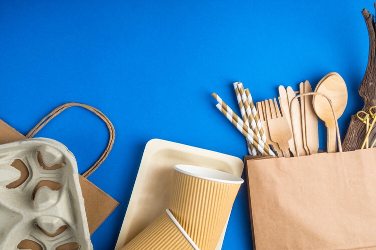 gobelet spatule carton bois recyclable