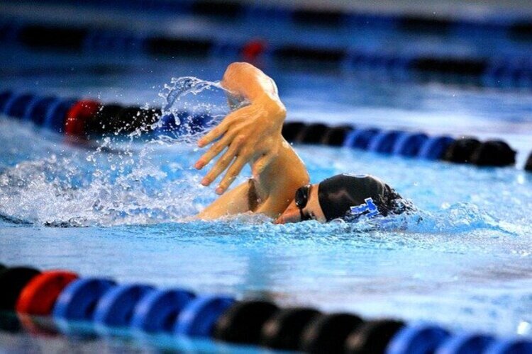 distributeur automatique natation piscine